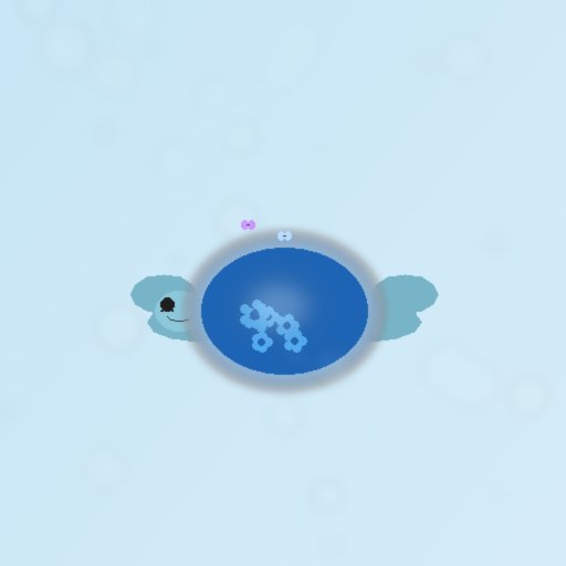 Turtle #1